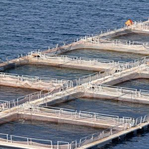Aquaculture